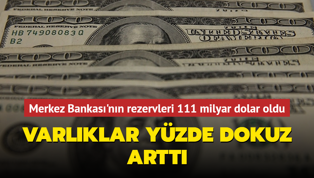 Varlklar yzde dokuz artt... Merkez Bankas'nn rezervleri 111 milyar dolar oldu