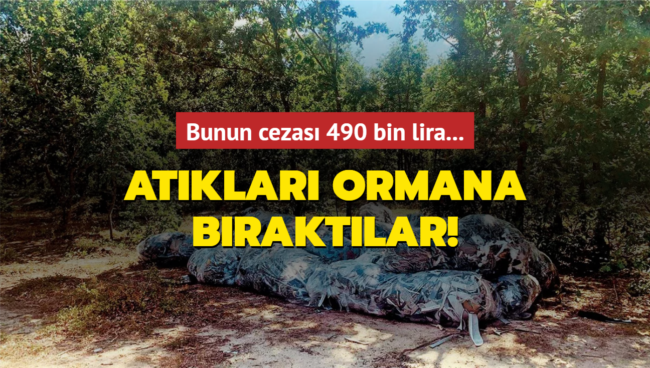 Atklar ormana braktlar! Bunun cezas 490 bin lira