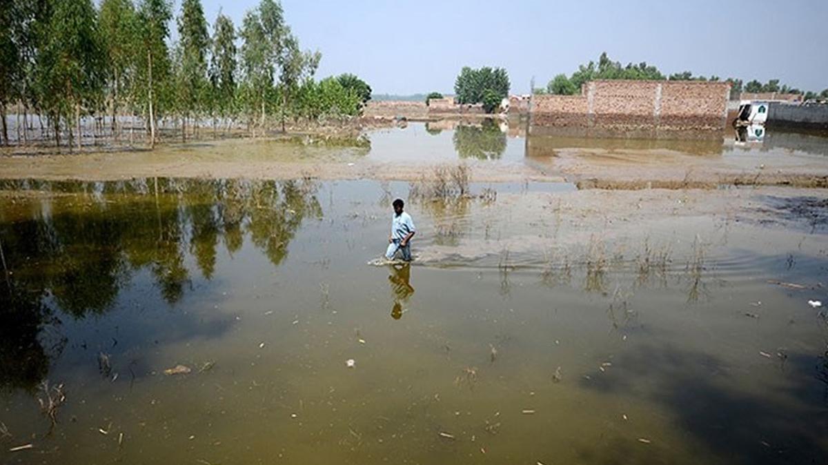 Pakistan'da sel felaketi! Bilano arlayor