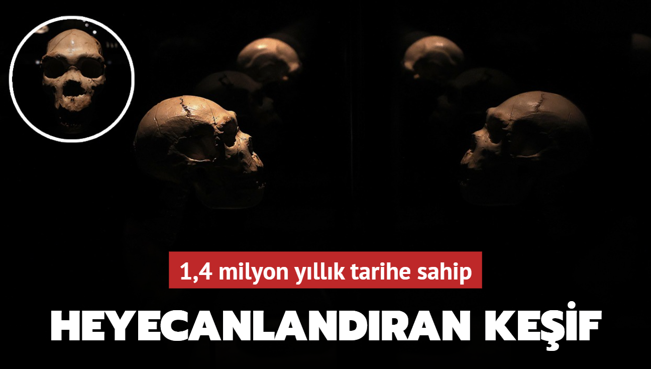 1,4 milyon yllk tarihe sahip... Bilim insanlarn heyecanlandran keif! 