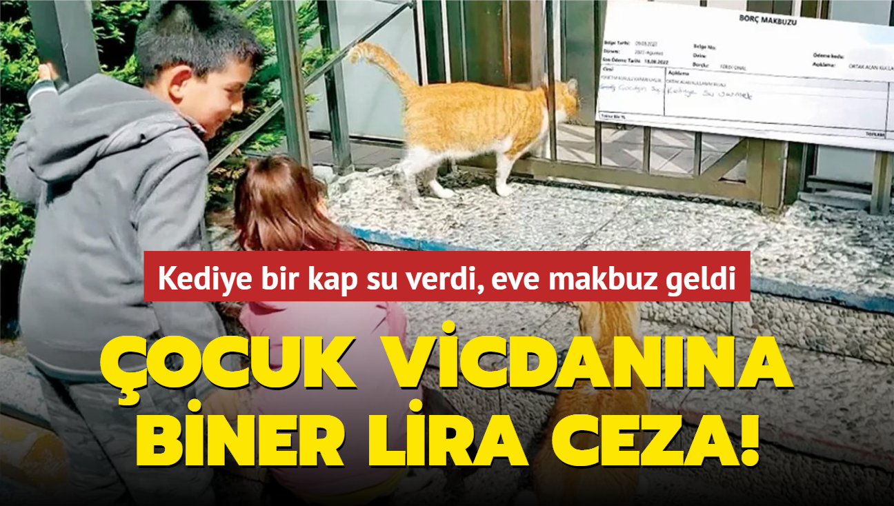 Kediye bir kap su verdi, eve makbuz geldi! ocuk vicdanna biner lira ceza