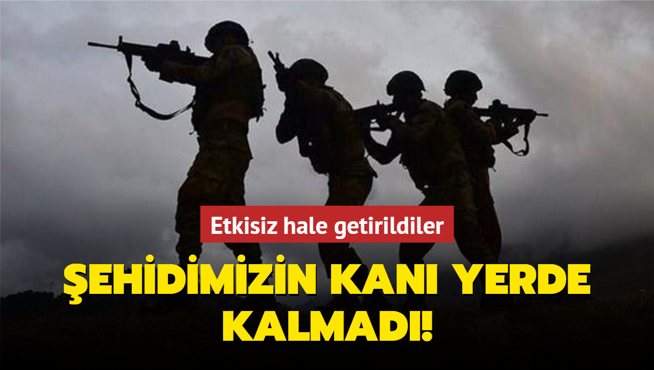 ehidimizin kan yerde kalmad! Etkisiz hale getirildiler