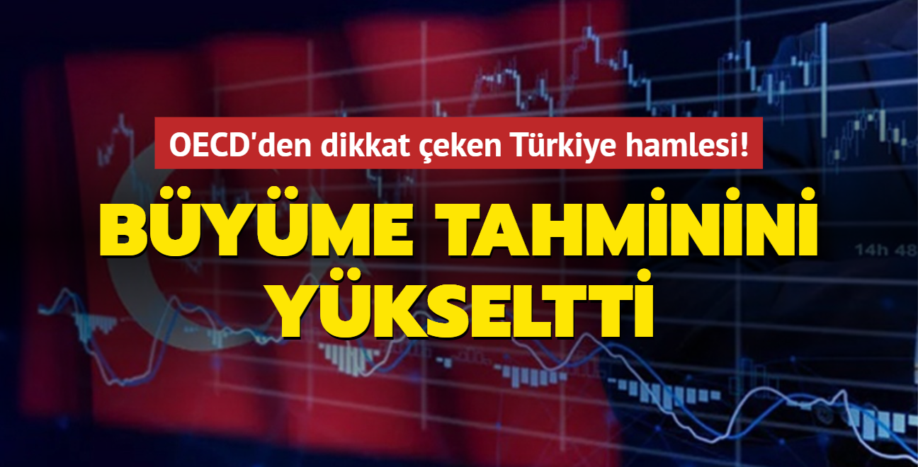 OECD, 2022 Trkiye ekonomisine ilikin byme tahminini deitirdi