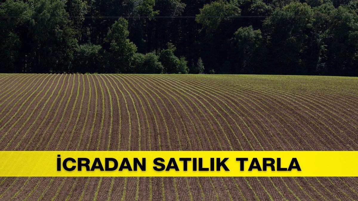 Kahramanmara Trkolu'nda 10704 m tarla icradan sata karld!