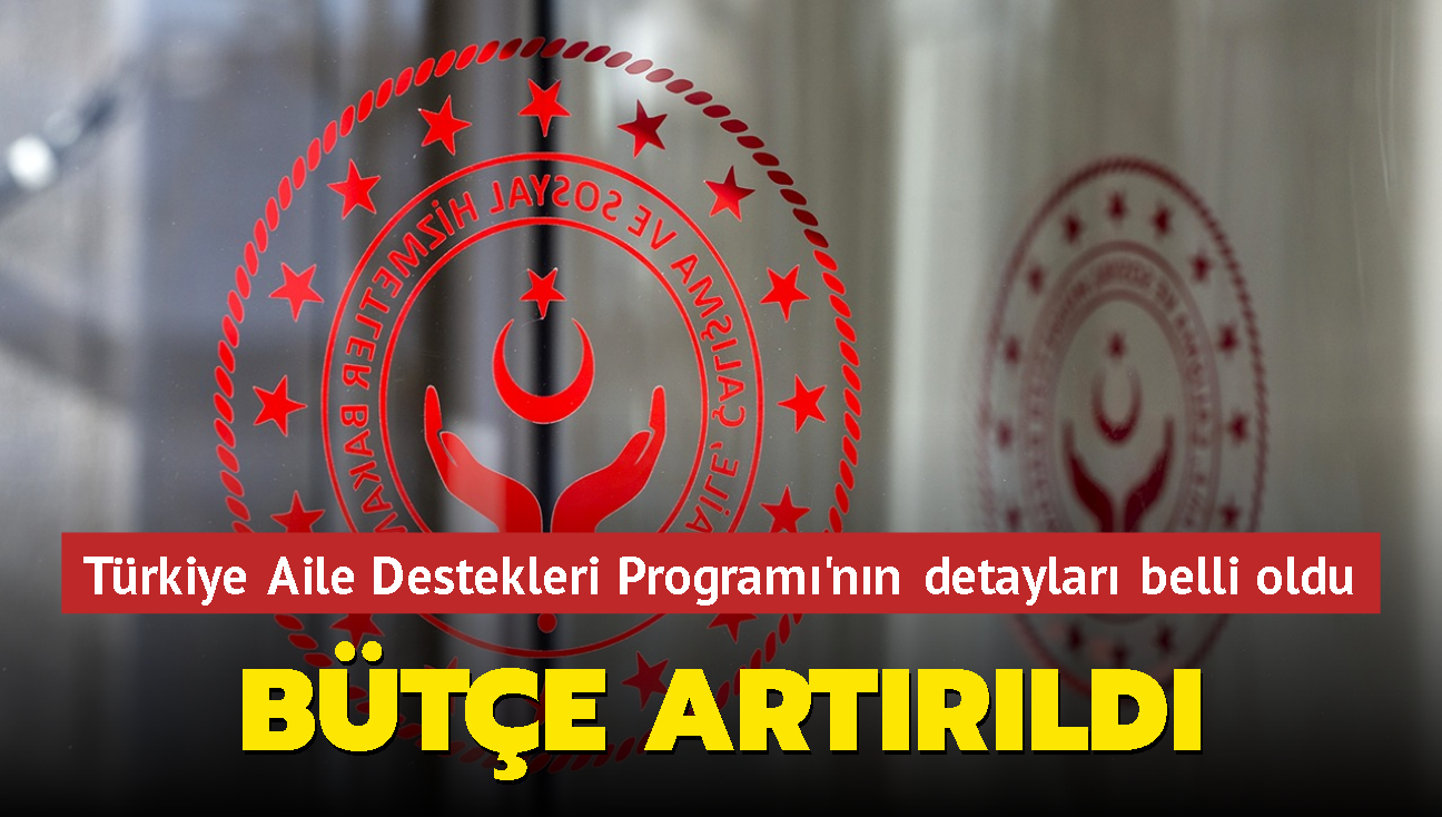 Trkiye Aile Destekleri Program'nn detaylar belli oldu... Bte artrld