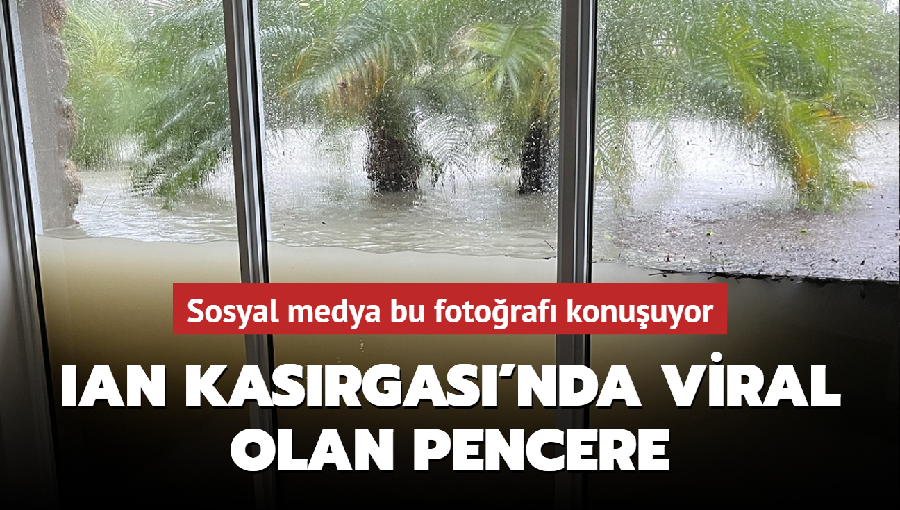 Sosyal medya bu fotoraf konuuyor! Ian Kasrgas'nda viral olan pencere