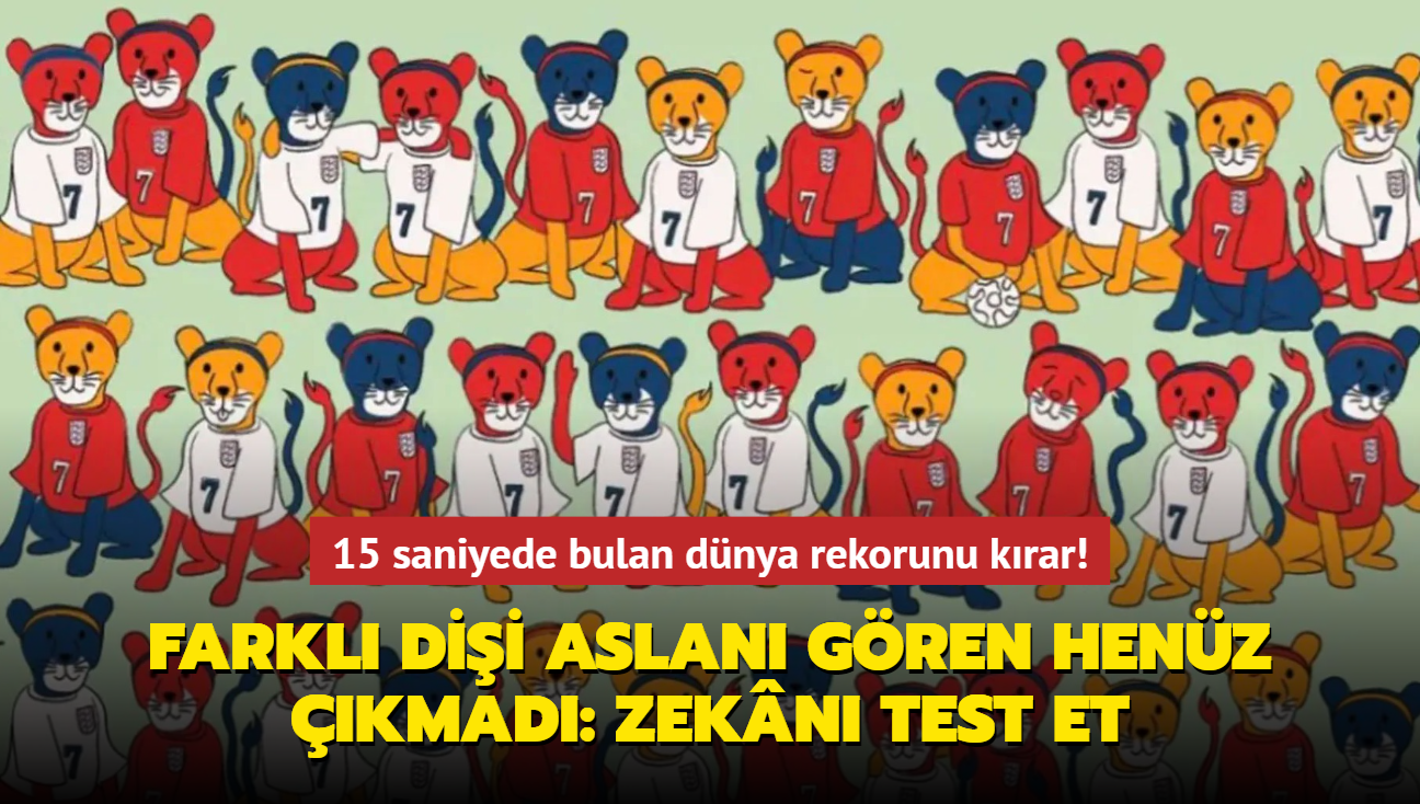 15 saniyede bulan dnya rekorunu krar! Farkl dii aslan gren henz kmad: Zekn test et