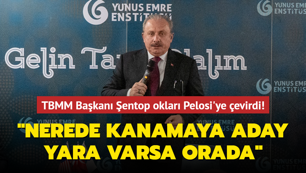 TBMM Bakan entop oklar Pelosi'ye evirdi! "Nerede kanamaya aday yara varsa oraya gidiyor"