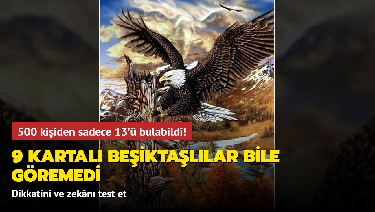 425 kiiden sadece 8'i bulabildi! 9 kartal Beiktallar bile gremedi: Dikkatini ve zekn test et