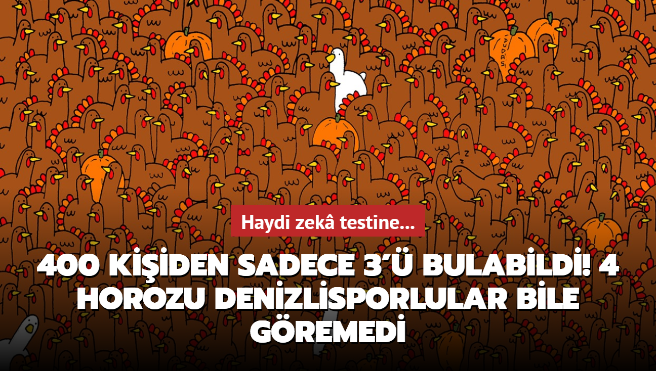 400 kiiden sadece 3' grebildi! 30 saniyede 4 horozu bul: Zek testi