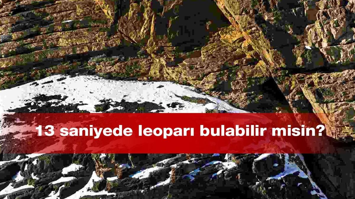 100 kiinden 3' bile leopar bulamyor! 13 saniyede leopar gren kartal gzlere sahip! 