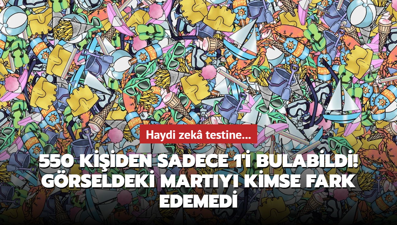 Grseldeki marty kimse fark edemedi! 550 kiiden sadece 1'i bulabildi: Haydi zek testine