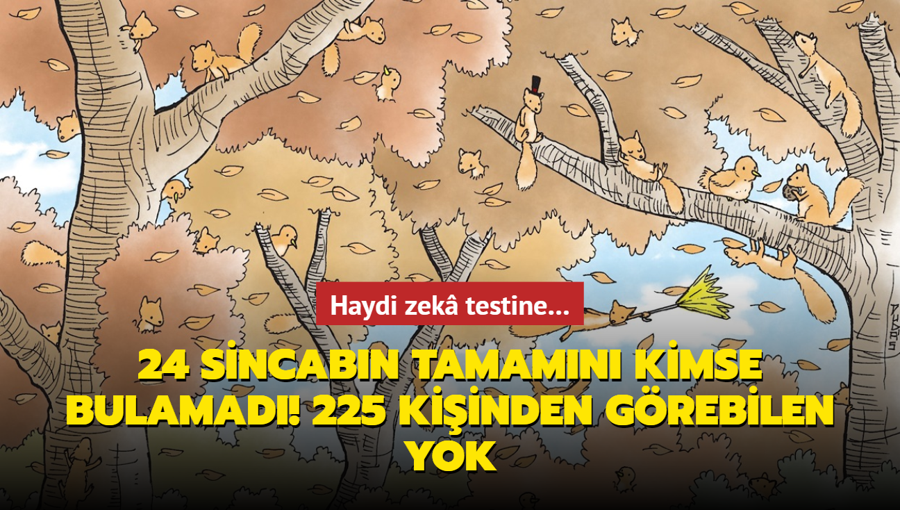 225 kiinden grebilen yok! 24 sincabn tamamn kimse bulamad: Zek testi