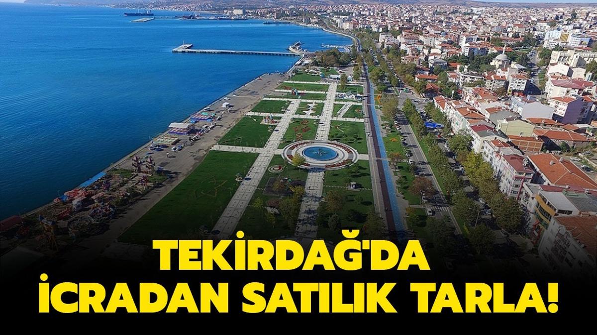 Tekirda'da 3.6 milyon TL'ye icradan satlk tarla!