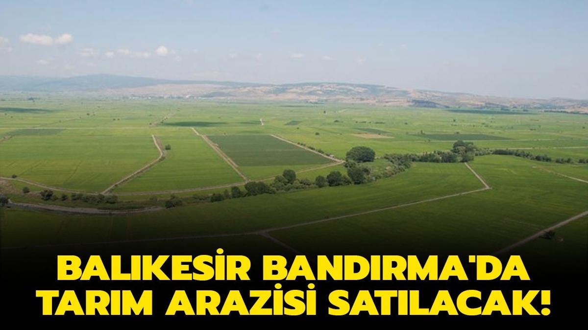 Balkesir Bandrma'da icradan satlk tarm arazisi!