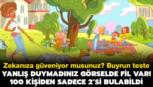 Evet bu grselde fil var! 100 kiiden sadece 2'si 10 saniyede fili bulabildi: Zek testi