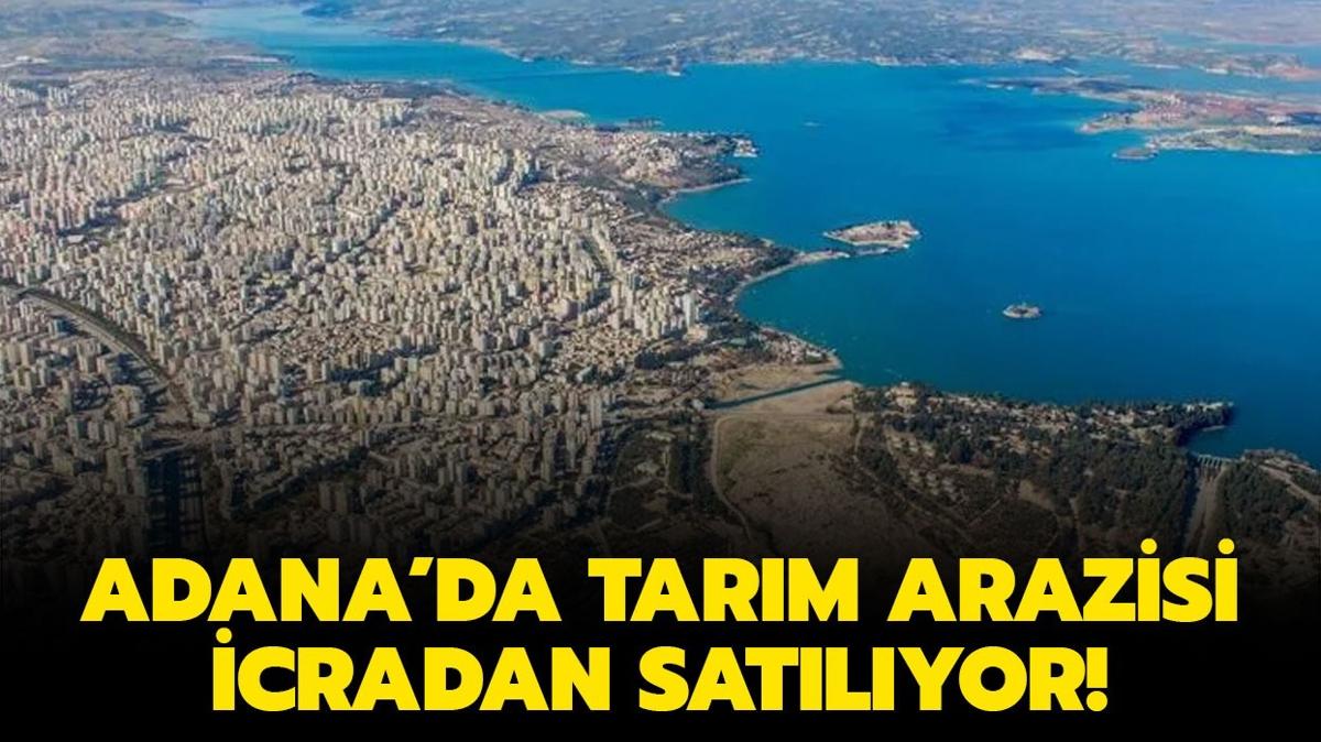 Adana'da 136 bin TL'ye icradan satlk arazi!