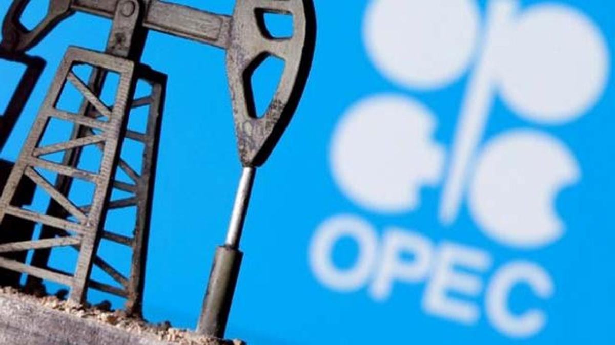 OPEC kendini savundu: Uygun zamanda hareket ettik