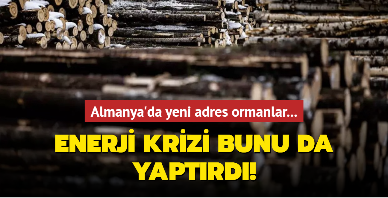 Enerji krizi bunu da yaptrd... Almanya'da yeni adres ormanlar