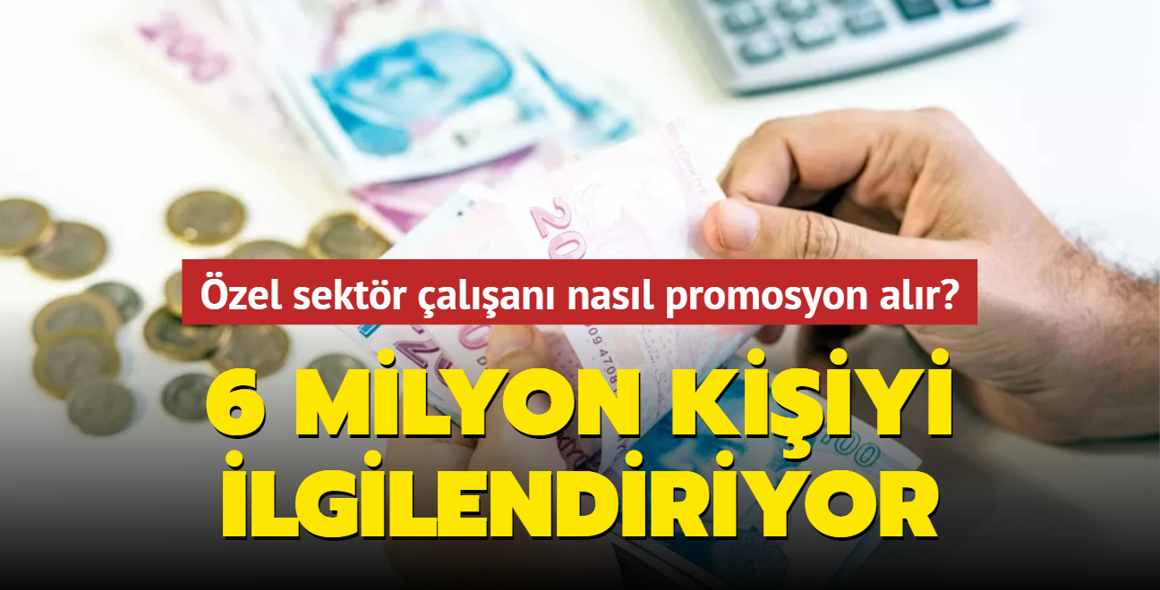 6 milyon kiiyi ilgilendiriyor... zel sektr alan nasl promosyon alr"