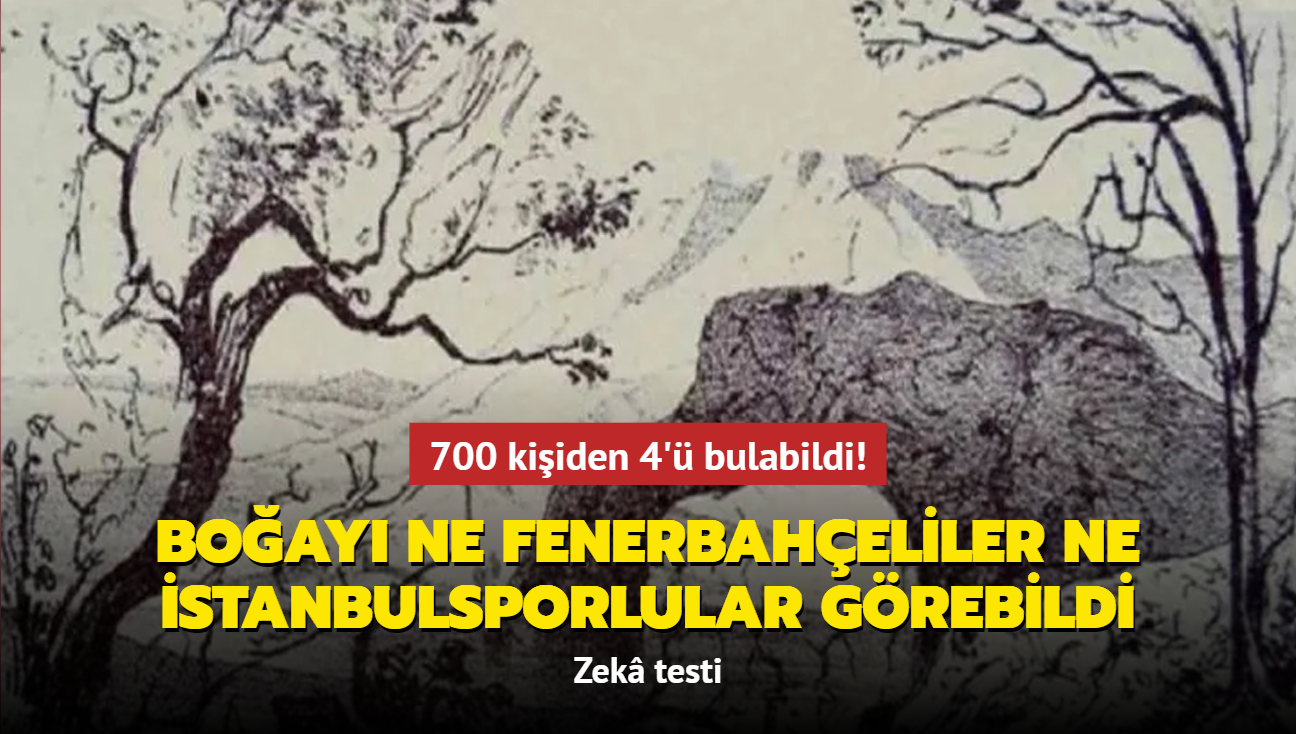 700 kiiden 4' bulabildi! Boay ne Fenerbaheliler ne stanbulsporlular grebildi: Zek testi