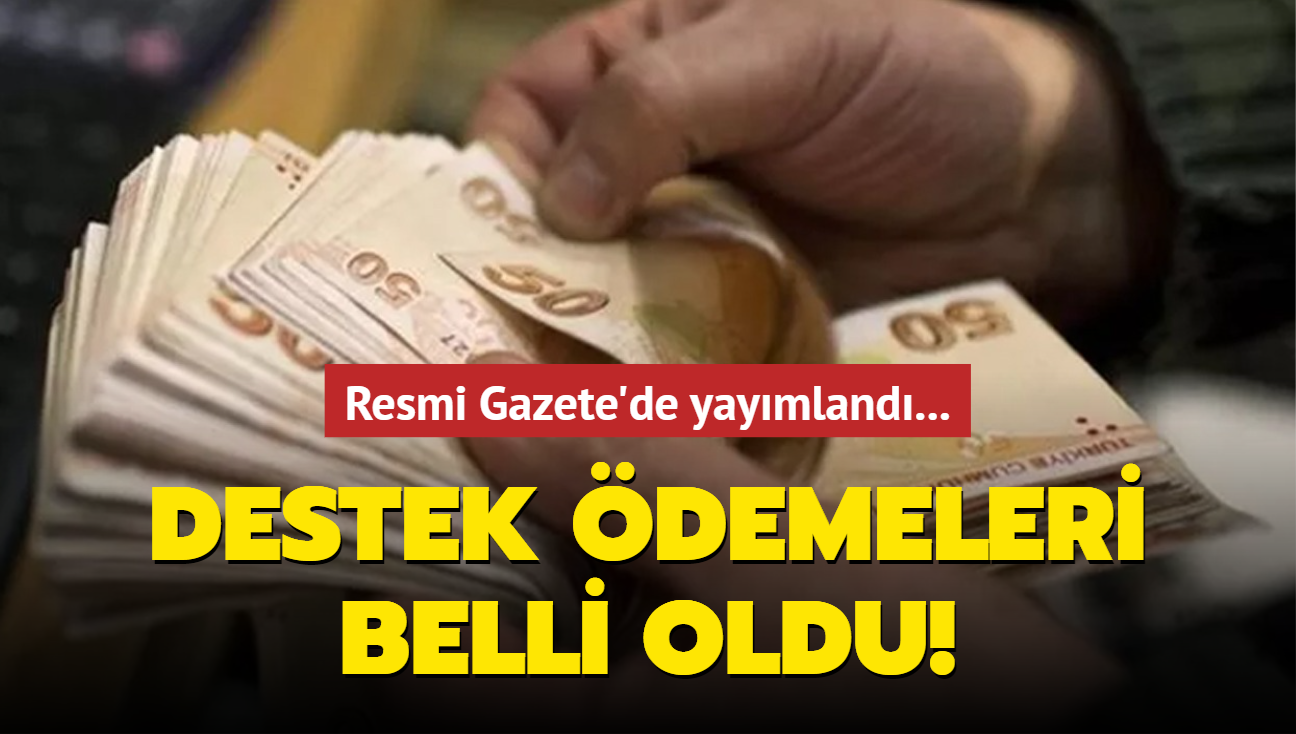 Resmi Gazete'de yaymland... Destek demeleri belli oldu!