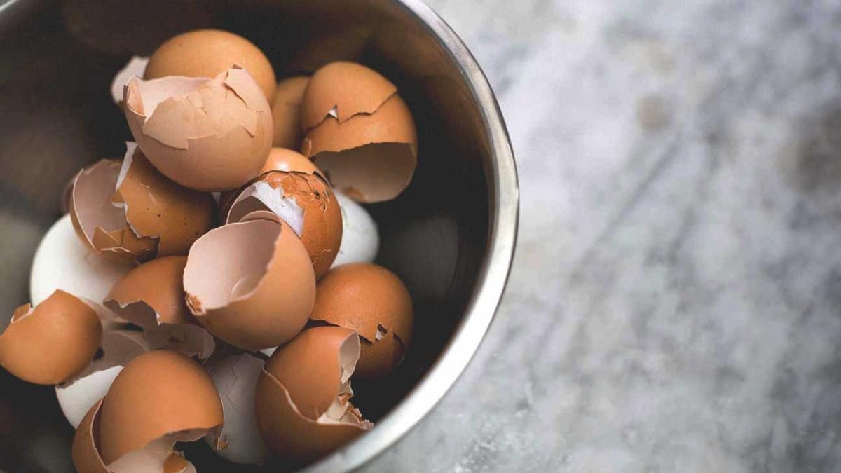 Maharetlerini duyduktan sonra atmaya kyamayacaksnz! Yumurta kabuunun 5 kullanm alan