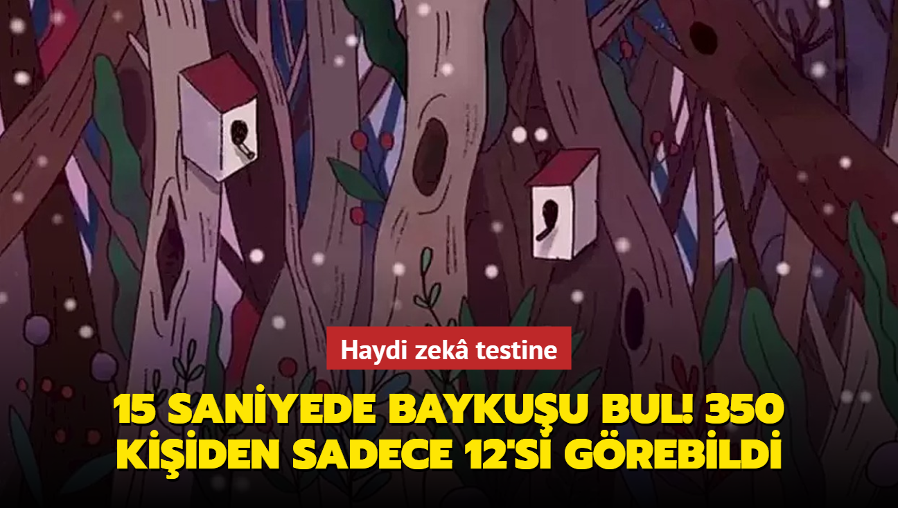 15 saniyede baykuu bul! 350 kiiden sadece 12'si grebildi: Zek testi