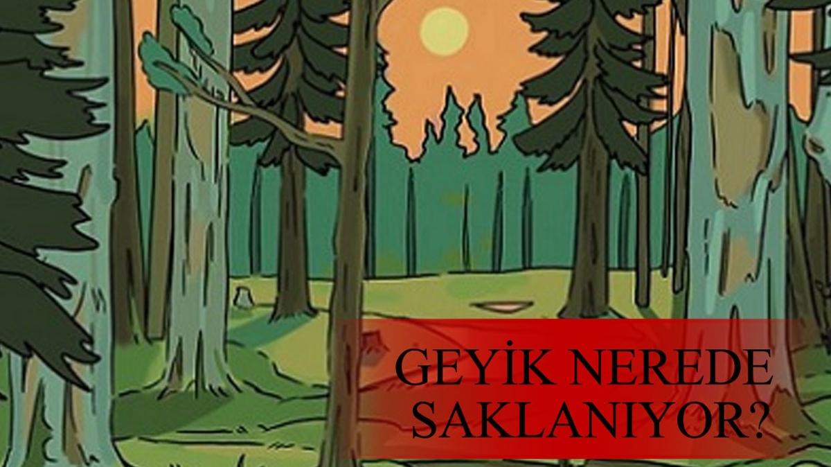 Sadece bir deha resimdeki geyii grebilir! 15 saniyede saklanan geyii bulan imkansz baaryor!