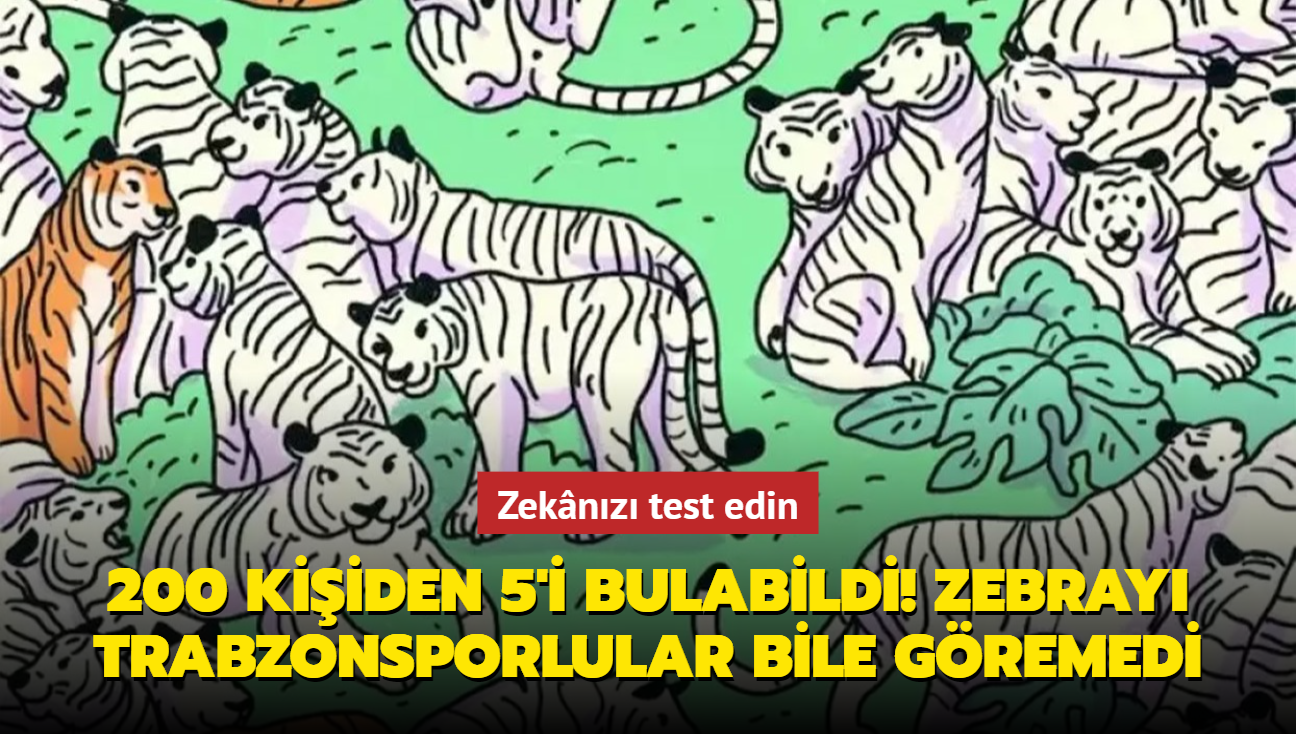 200 kiiden 5'i bulabildi! Kaplanl optik illzyon testinde Trabzonsporlular bile zorland