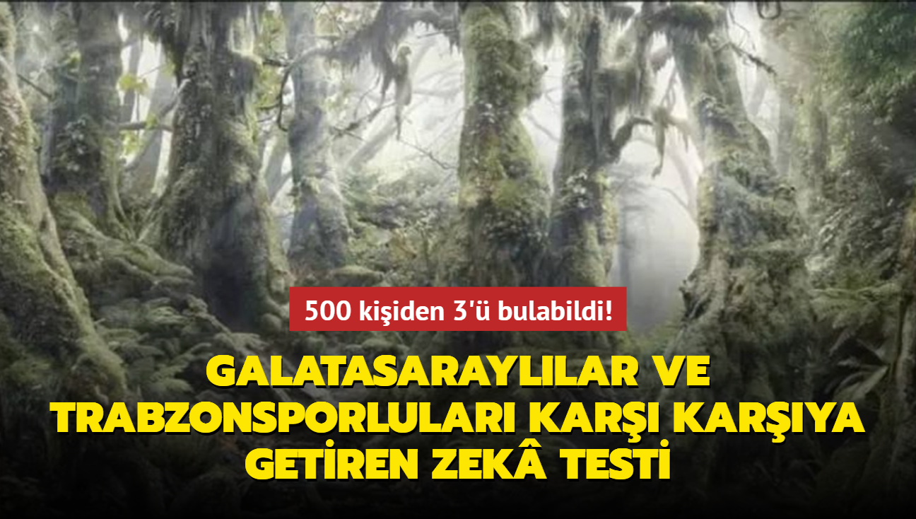 500 kiiden 3' bulabildi! Galatasarayllar ve Trabzonsporlular kar karya getiren zek testi...