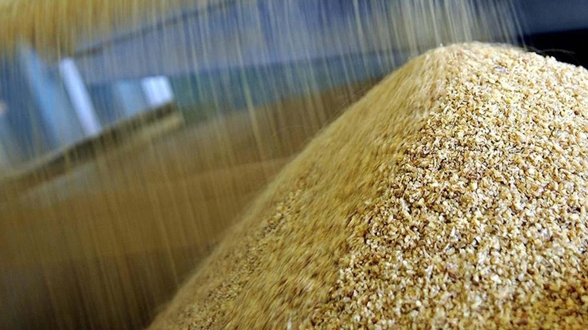 Pakistan Rusya'dan 300 bin ton buday alacak