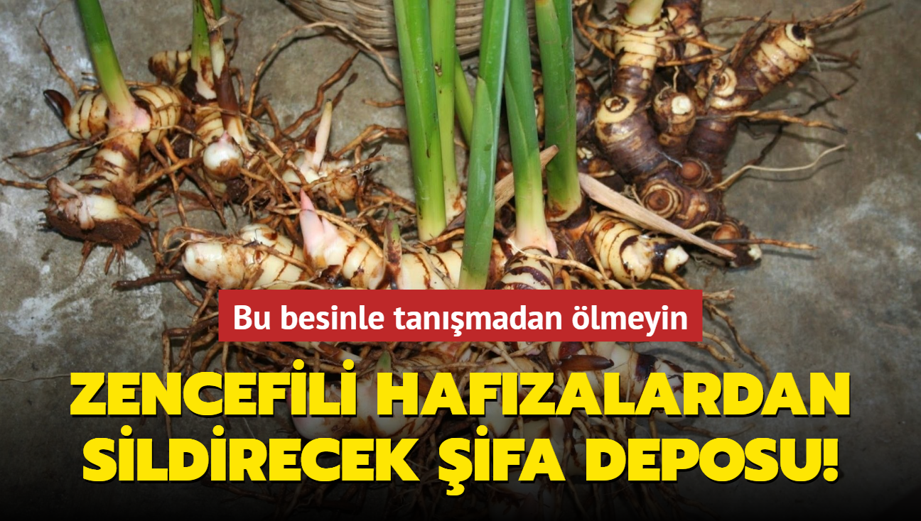 Zencefili hafzalardan sildirecek ifa deposu! Bu besinle tanmadan lmeyin