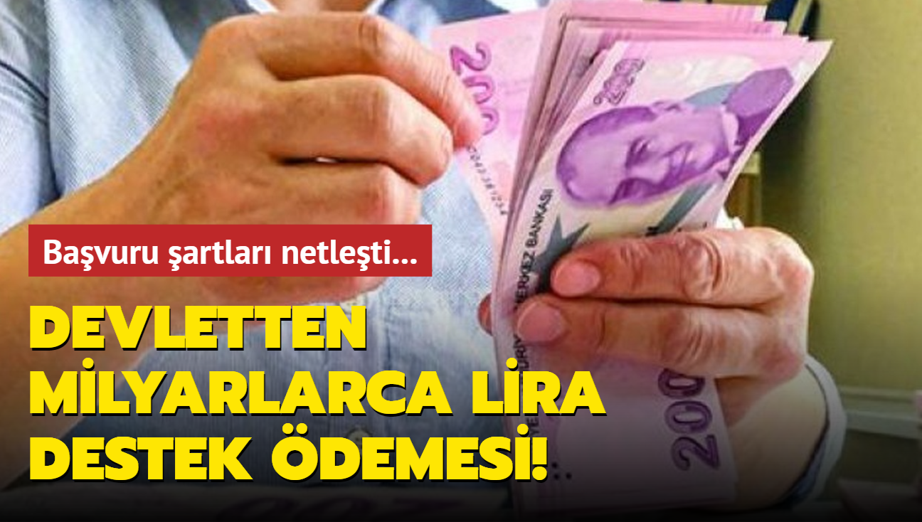 Devletten milyarlarca lira destek demesi! te bavuru artlar