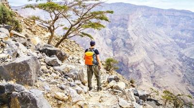 Altn kumda safari cam gibi suda dal