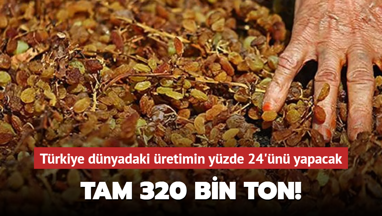 Trkiye dnyadaki retimin yzde 24'n yapacak... Tam 320 bin ton!
