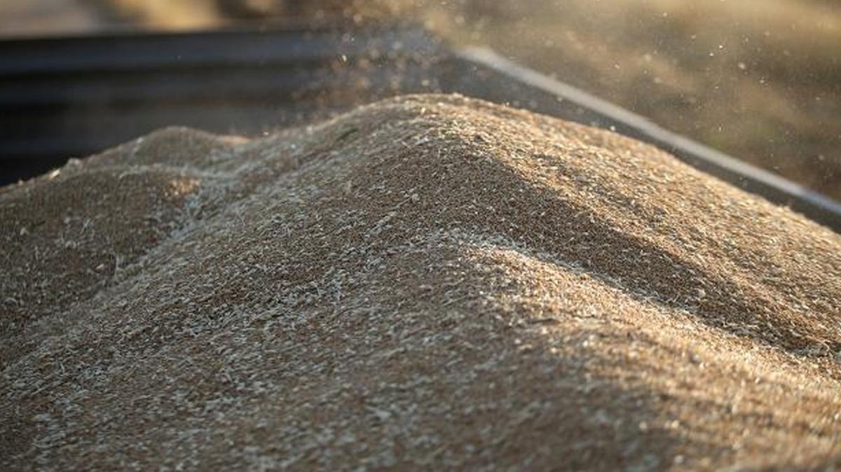 Ukrayna'dan Kenya'ya 25 bin ton buday destei