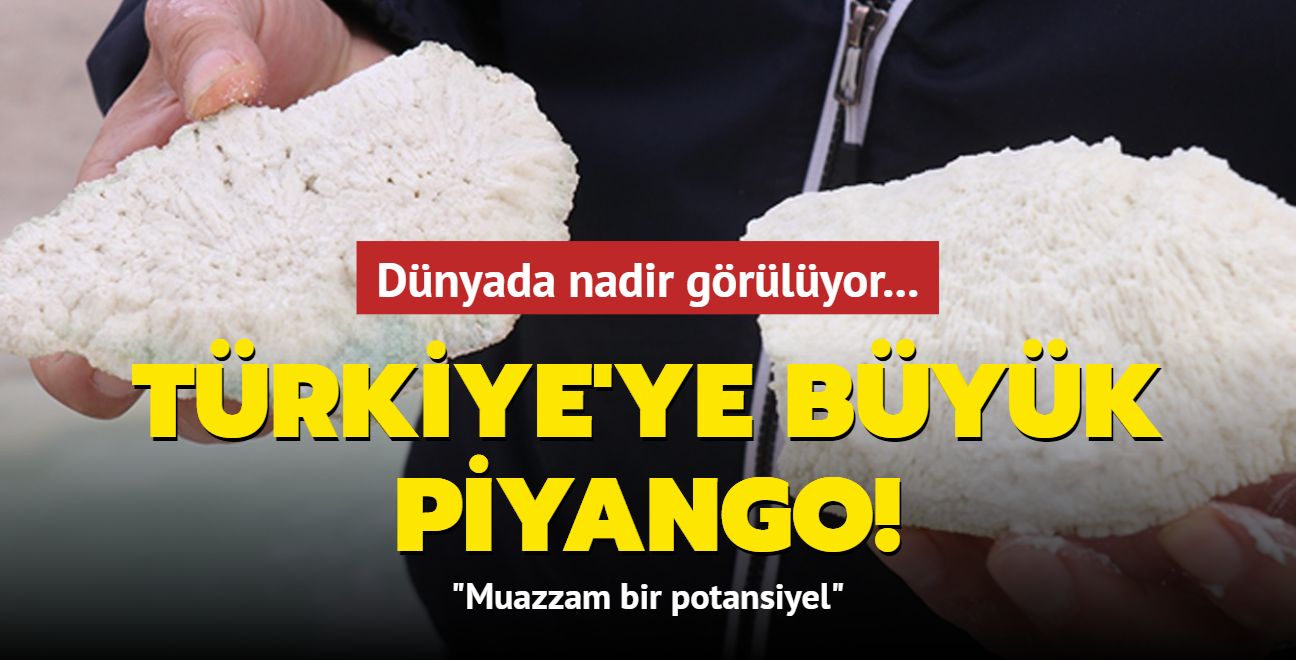 Dnyada nadir grlyor... Trkiye'ye byk piyango: Muazzam bir potansiyel