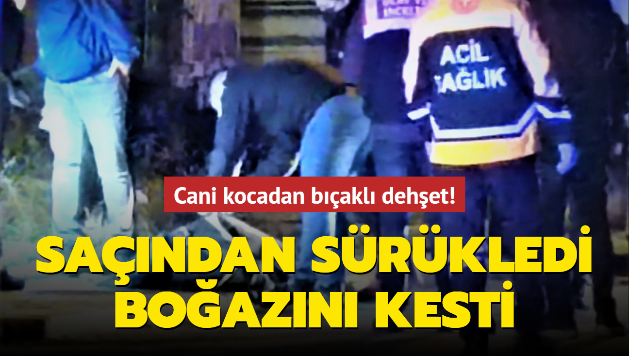 Cani kocadan bakl dehet! Sandan srkledi boazn kesti