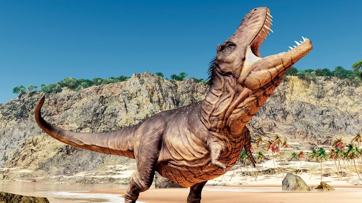 76 milyon yllk tr kefedildi! te T-Rex'in atas