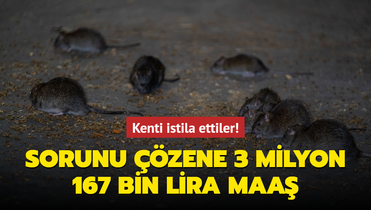 Kenti istila ettiler! Sorunu zene 3 milyon 167 bin lira maa verilecek