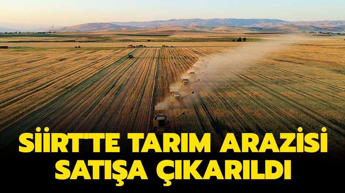 Siirt'te tarım arazisi icradan satılıktır