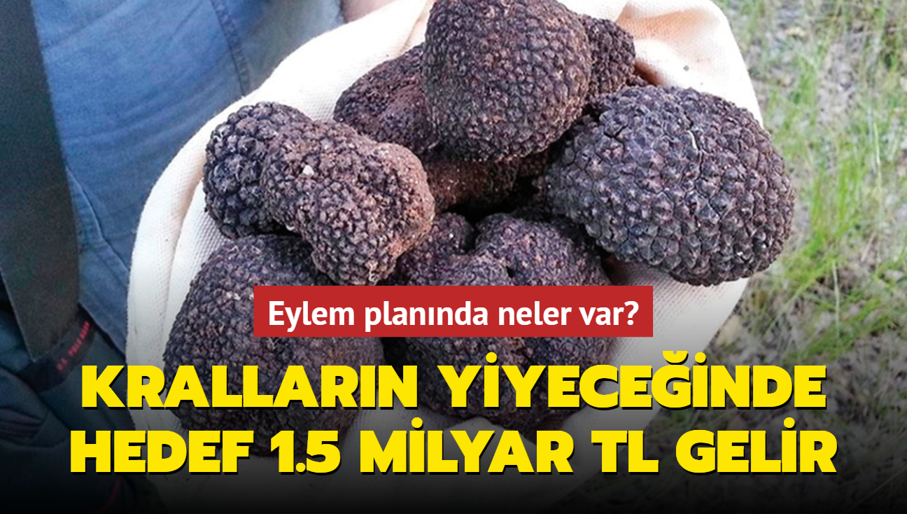 Krallarn yiyeceinde hedef 1.5 milyar TL gelir