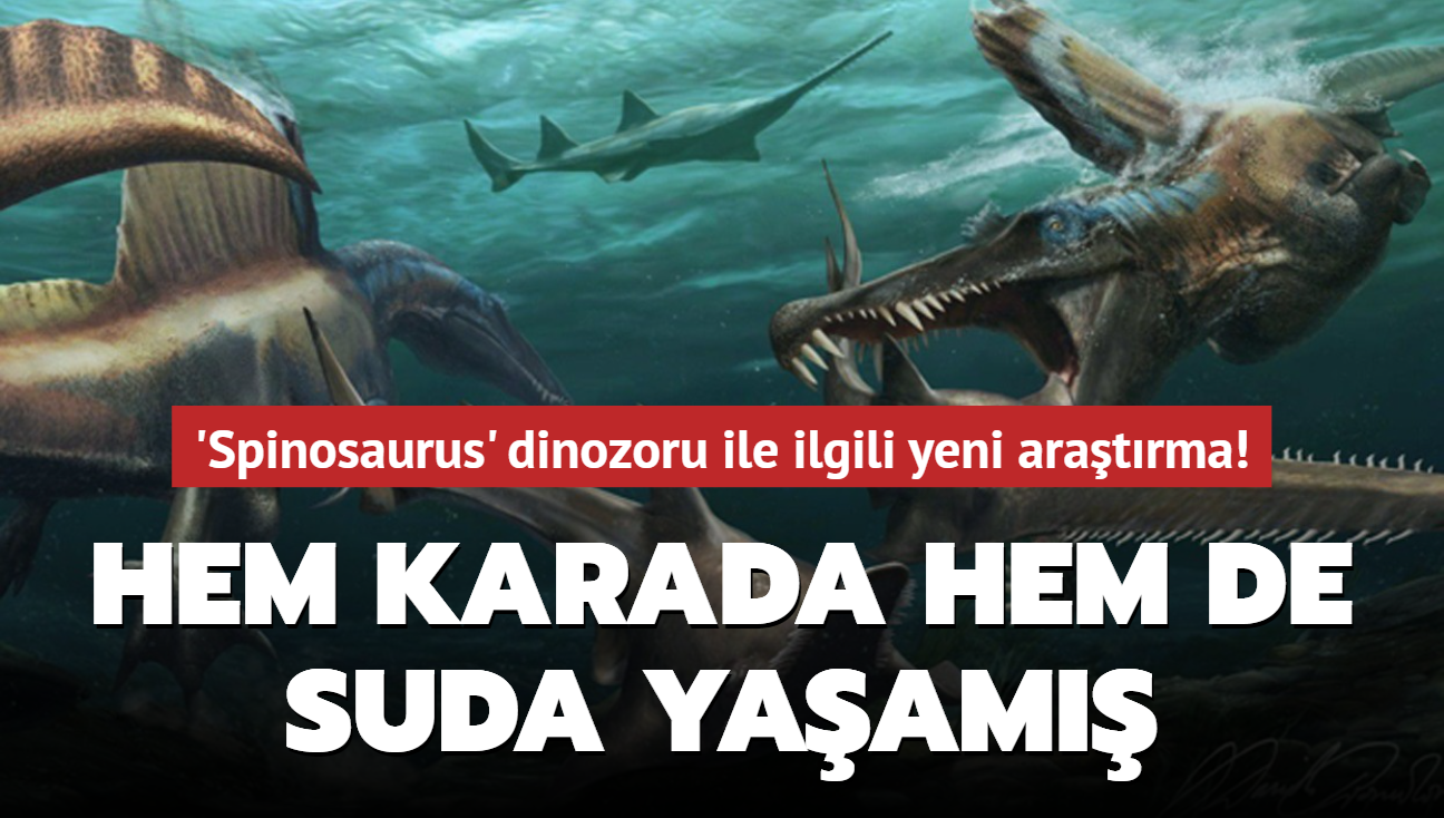 'Spinosaurus' dinozoru ile ilgili yeni aratrma! Hem karada hem de suda yaam