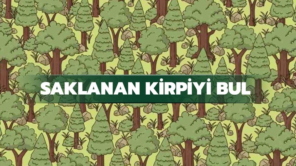 Zorlayc illzyon mcadelesi: Kirpiyi k hznda bulan ansn arttryor!