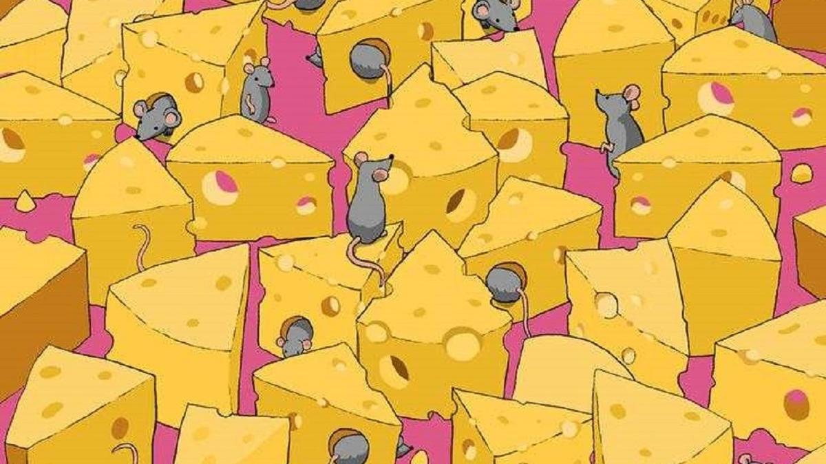 Fare ve peynirlerin iindeki zar bul! Saniyesinde zenler tek kiilik dev kadro olarak anlyor!