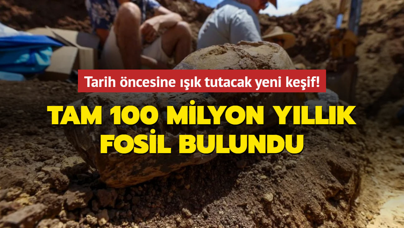 Tarih ncesine k tutacak yeni keif Tam 100 milyon yllk fosil