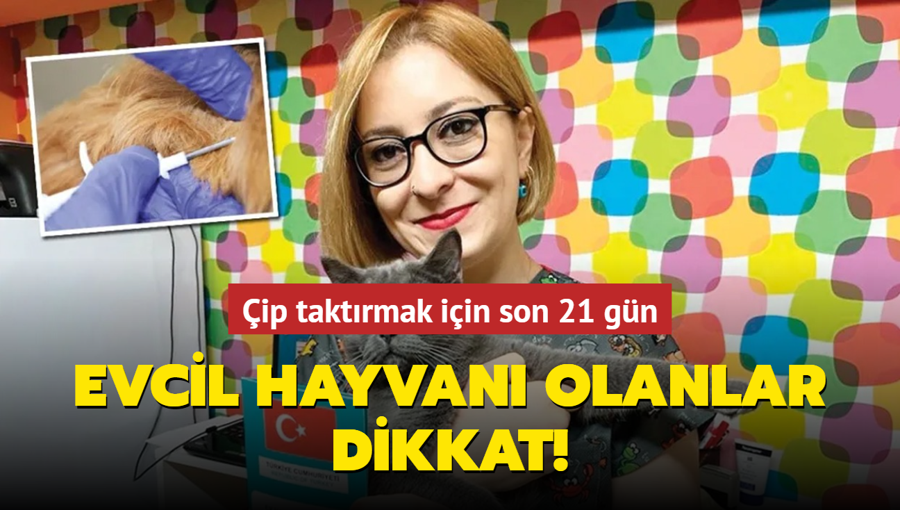 Evcil hayvan olanlar dikkat! ip taktrmak iin son 21 gn