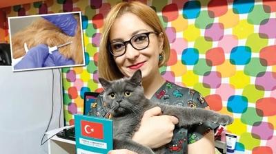 Evcil hayvan� olanlar dikkat! �ip takt�rmak i�in son 21 g�n
