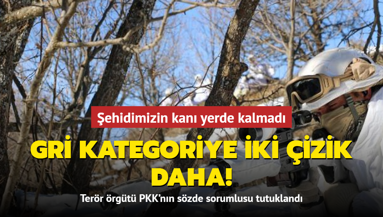 ehidimizin kan yerde kalmad... Gri kategoriye iki izik daha!